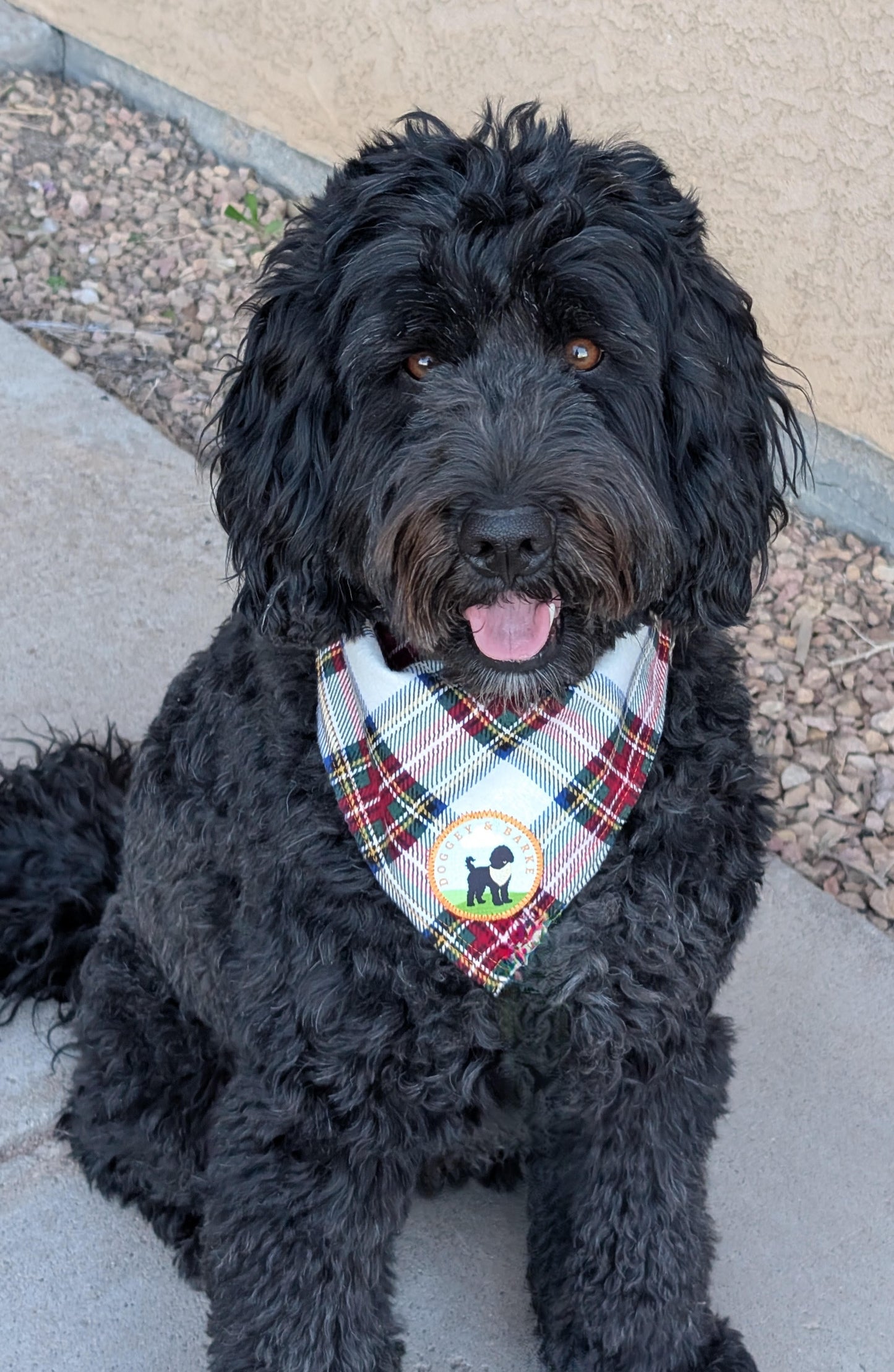 Primary Pup